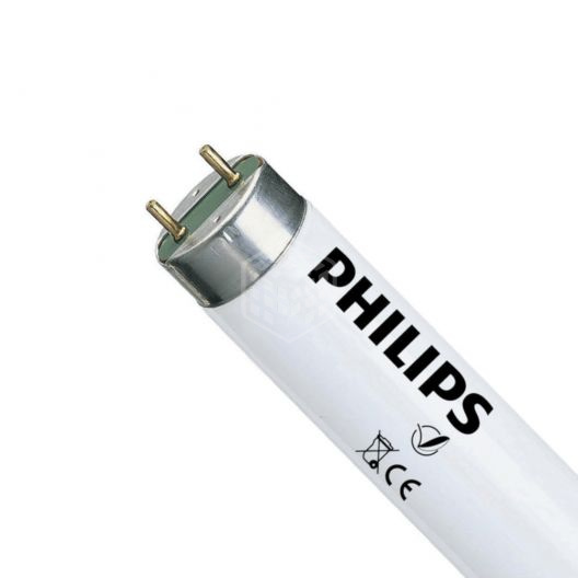 Фото Лампа люминесцентная Philips, 600мм, G13, дневного света