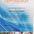 Спутник